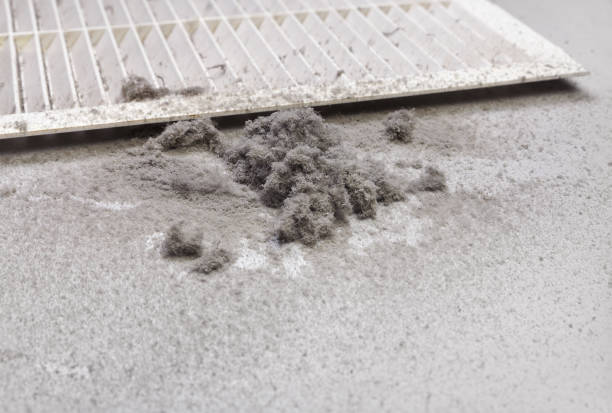 Best Air Duct Cleaning Near Me  in Spanish Fork, UT