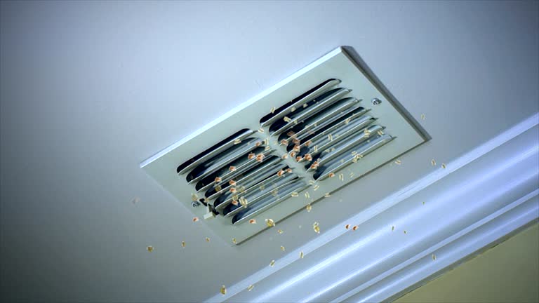 Best Affordable Air Duct Cleaning  in Spanish Fork, UT